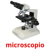 microscopio cartões com imagens