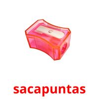 sacapuntas card for translate