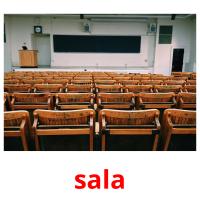 sala picture flashcards