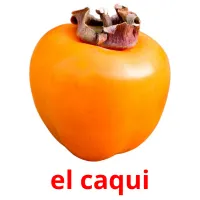 el caqui Tarjetas didacticas