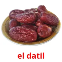 el datil Tarjetas didacticas