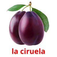 la ciruela Tarjetas didacticas