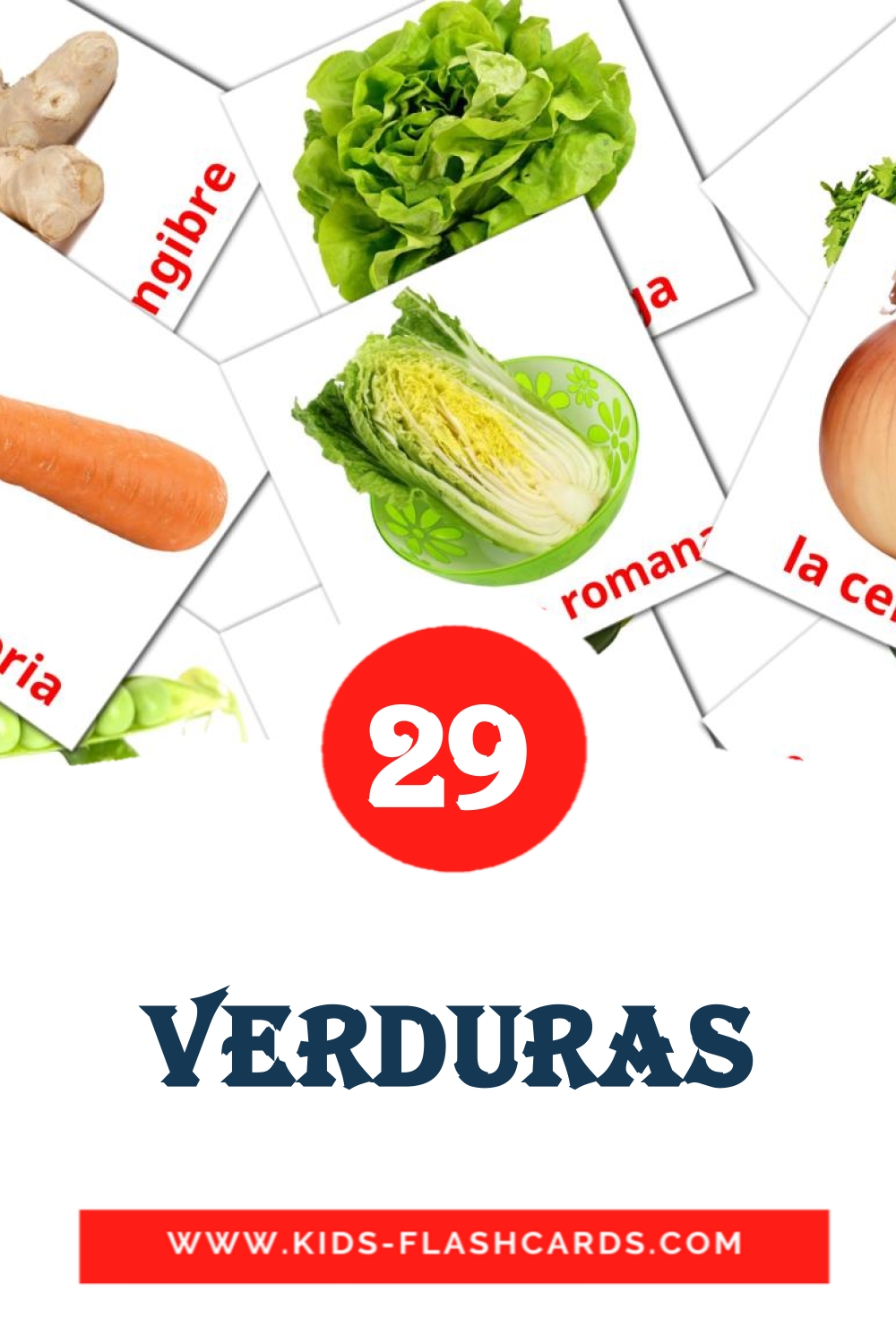 29 tarjetas didacticas de Verduras para el jardín de infancia en español