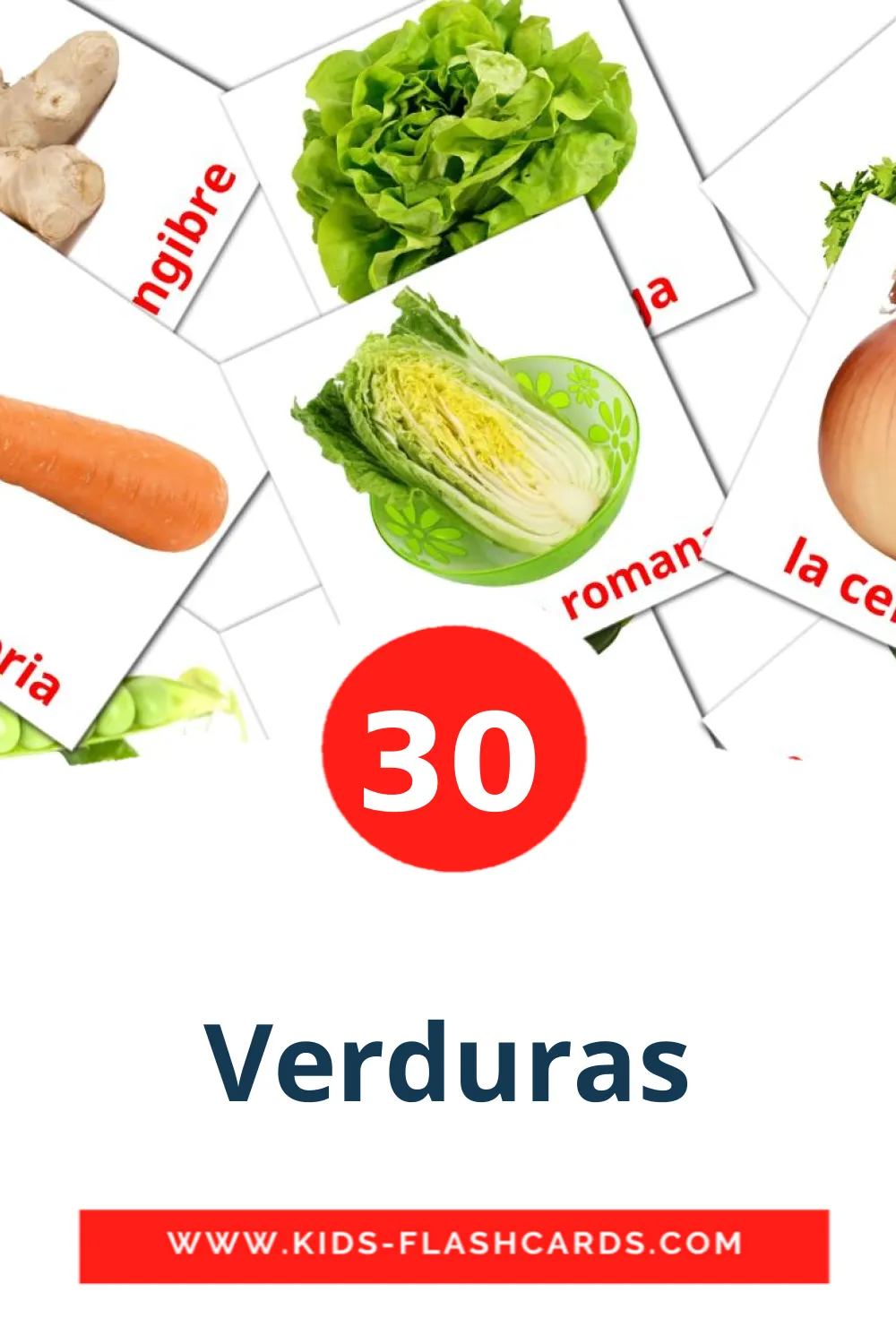 30 tarjetas didacticas de Verduras para el jardín de infancia en español