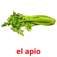 el apio picture flashcards