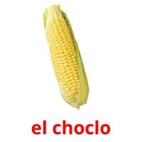 el choclo picture flashcards