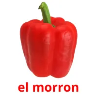 el morron picture flashcards