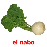 el nabo picture flashcards