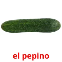 el pepino picture flashcards