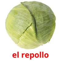 el repollo picture flashcards