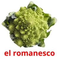 el romanesco picture flashcards