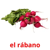 el rábano picture flashcards