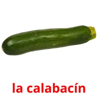 la calabacín Tarjetas didacticas