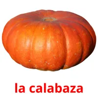 la calabaza picture flashcards