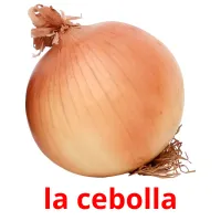 la cebolla picture flashcards