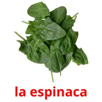 la espinaca picture flashcards