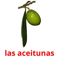 las aceitunas Tarjetas didacticas