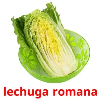 lechuga romana Tarjetas didacticas