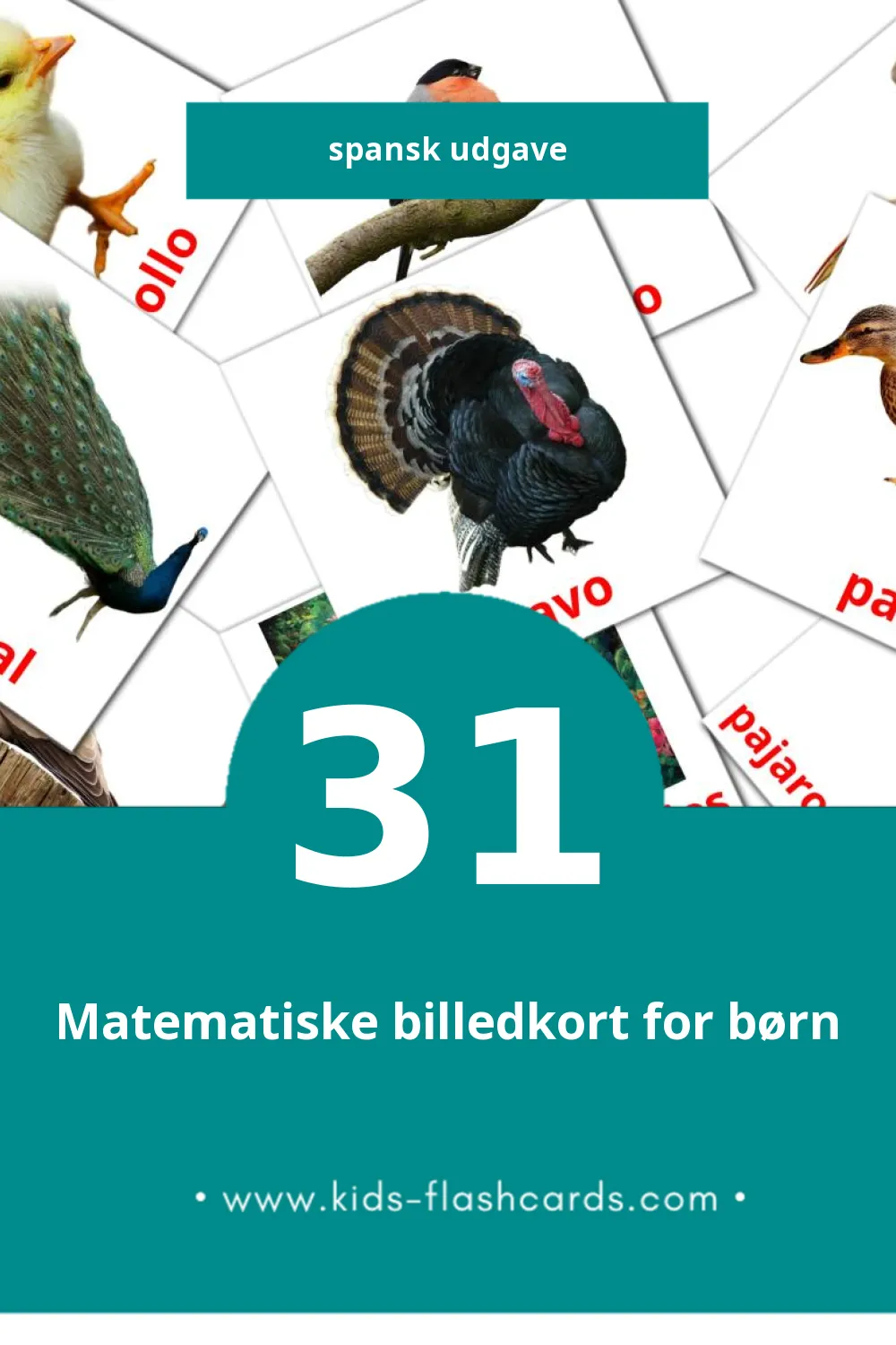 Visuella Aves för småbarn (31 bildkort för barn på Spansk)