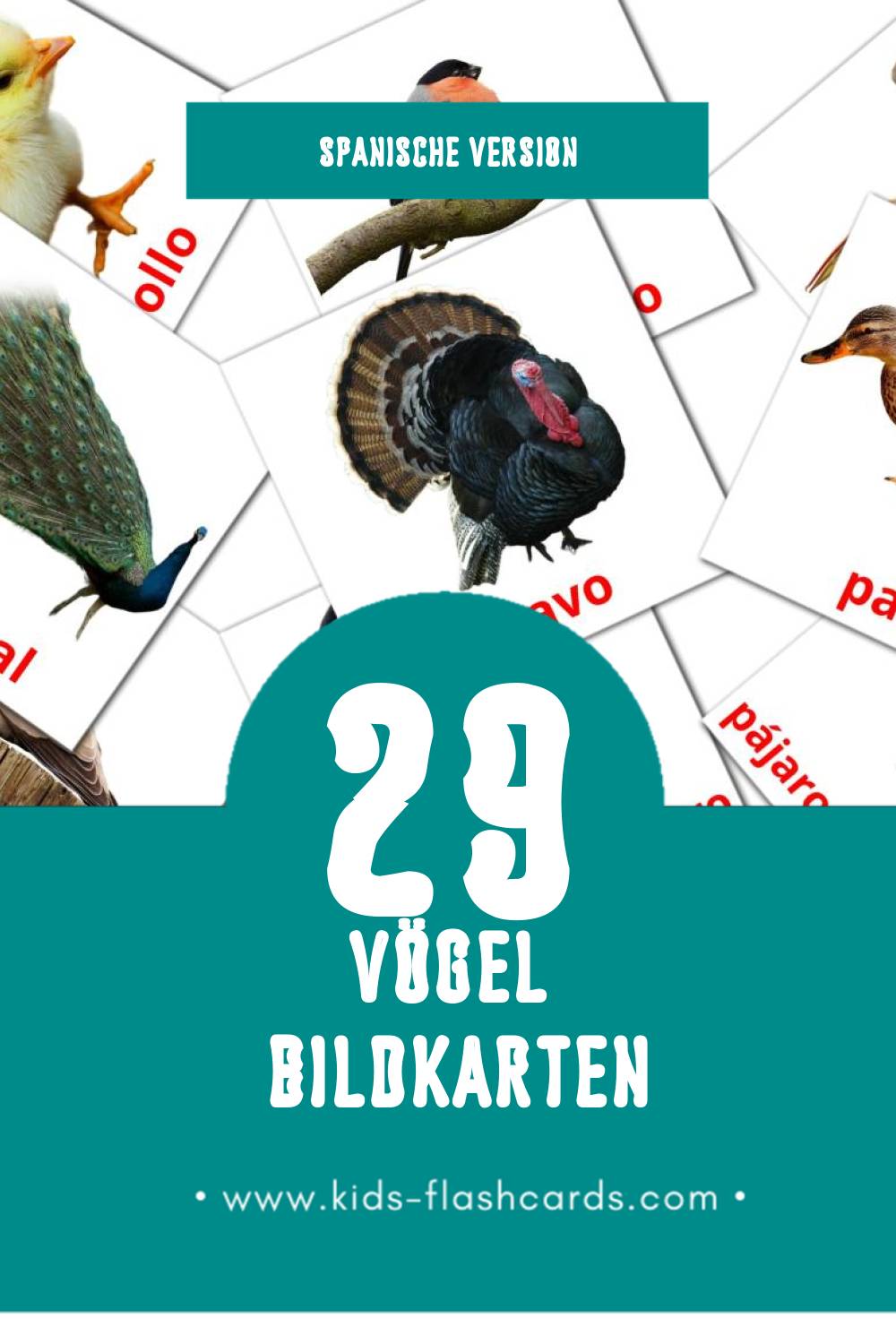 Visual Aves Flashcards für Kleinkinder (29 Karten in Spanisch)