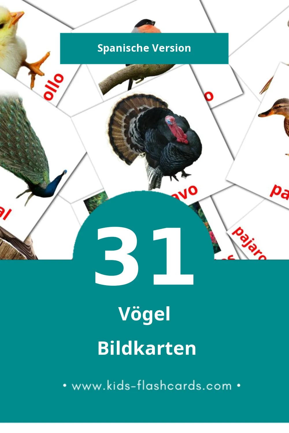 Visual Aves Flashcards für Kleinkinder (31 Karten in Spanisch)