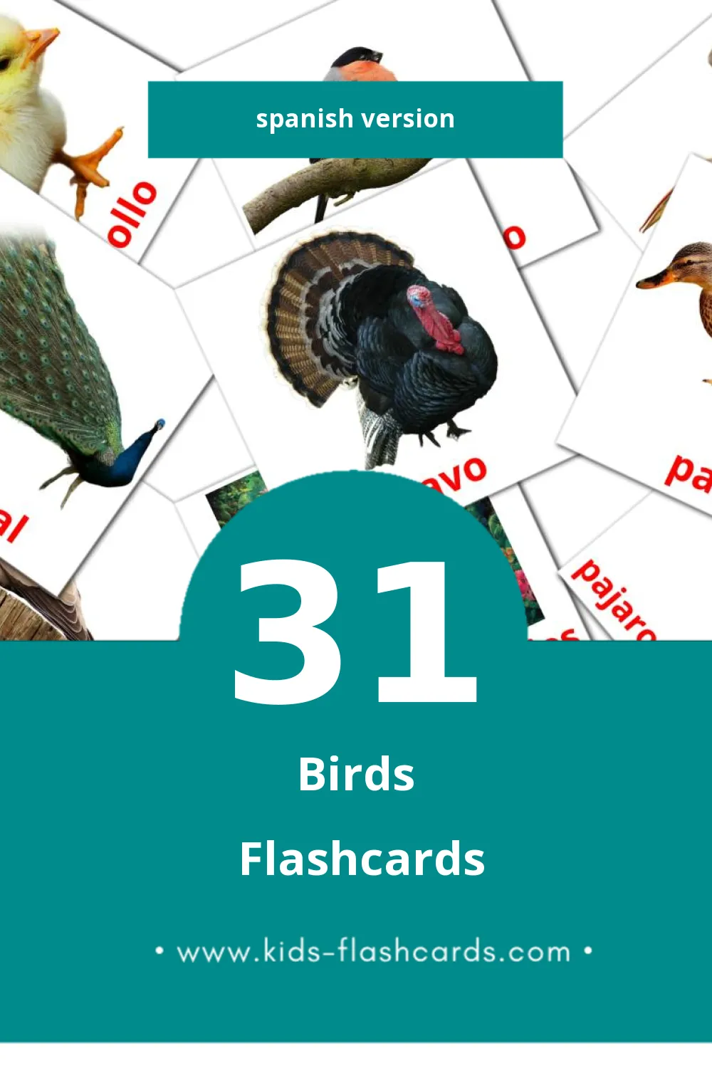 Visual Aves Flashcards for Toddlers (31 cards in Spanish)