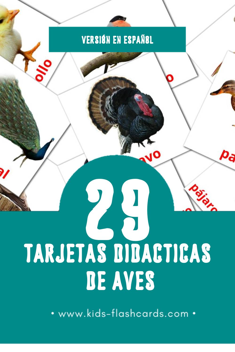 Tarjetas visuales de Aves para niños pequeños (29 tarjetas en Español)