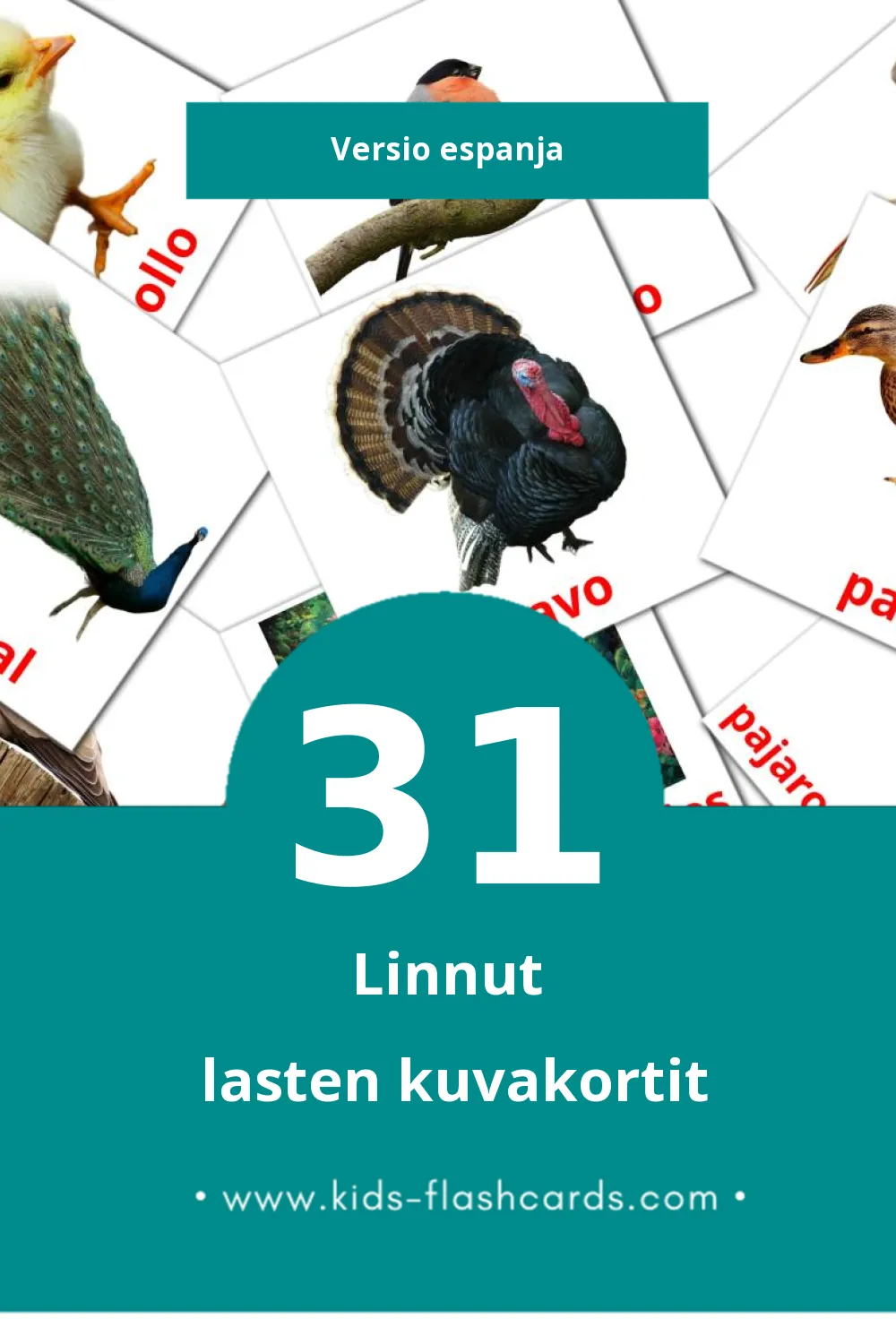 Aves lasten kuvakortit pikkulapsille (31 korttia Espanjaksi)