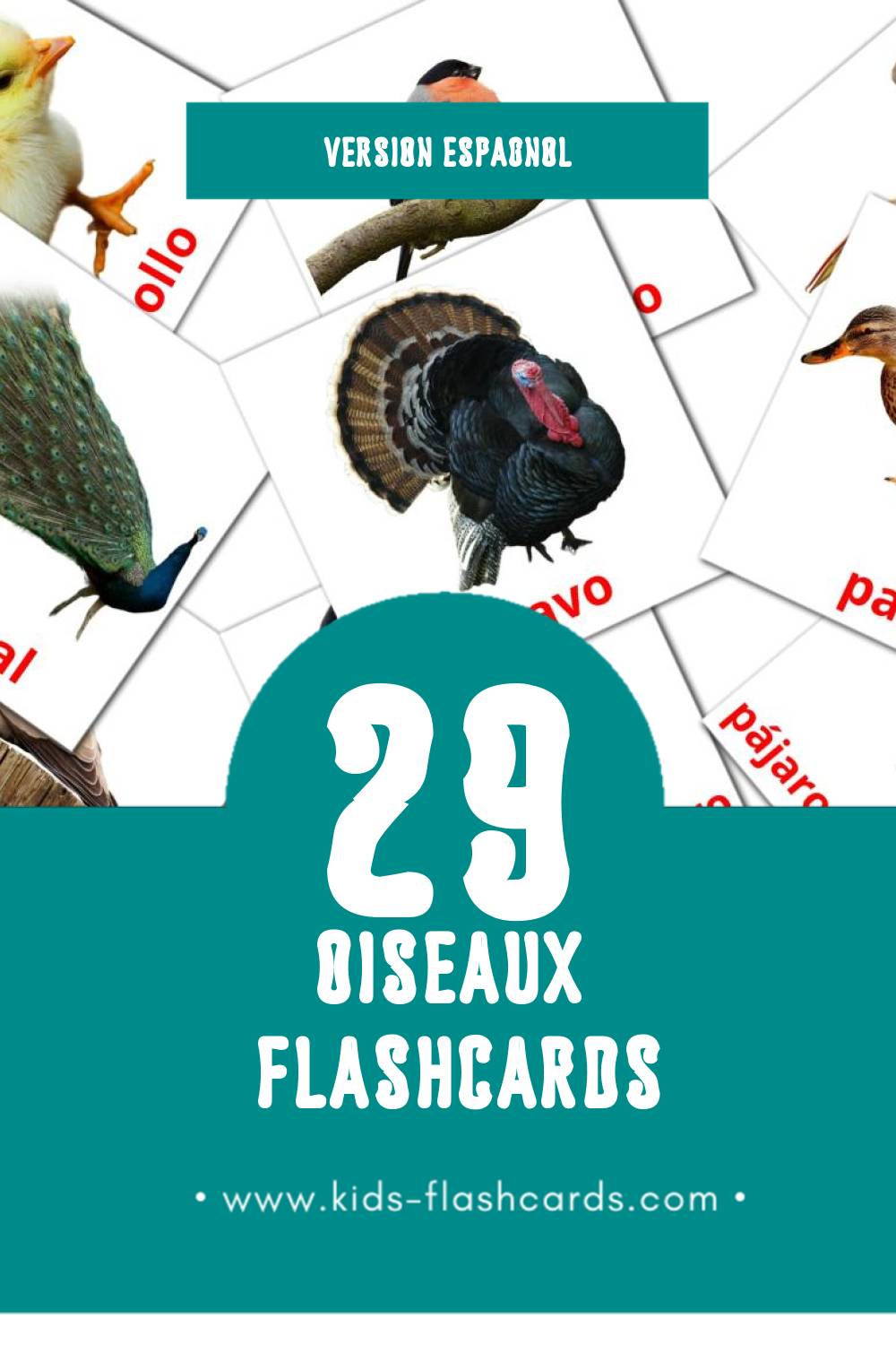 Flashcards Visual aves pour les tout-petits (28 cartes en Espagnol)