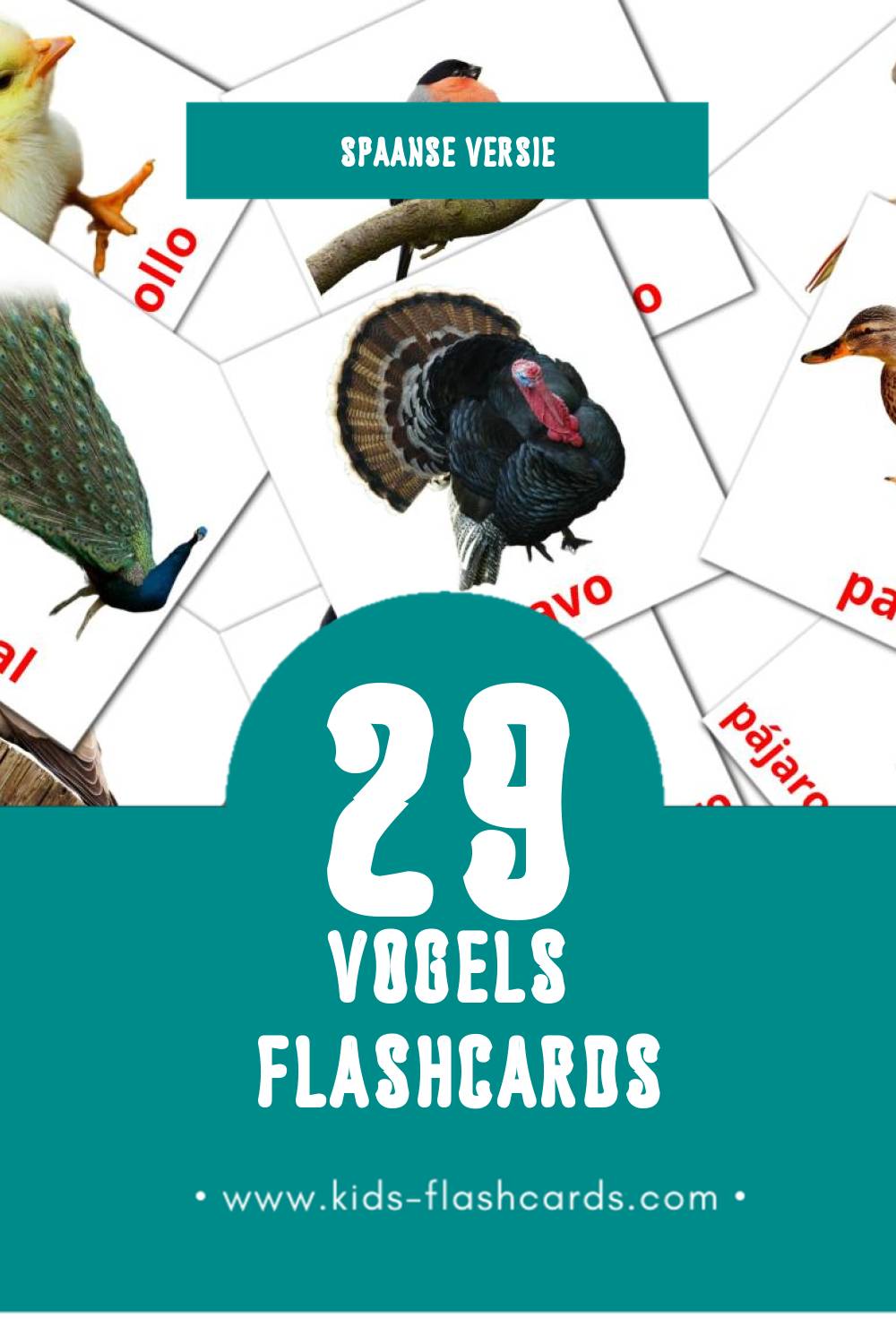 Visuele Aves Flashcards voor Kleuters (29 kaarten in het Spaans)