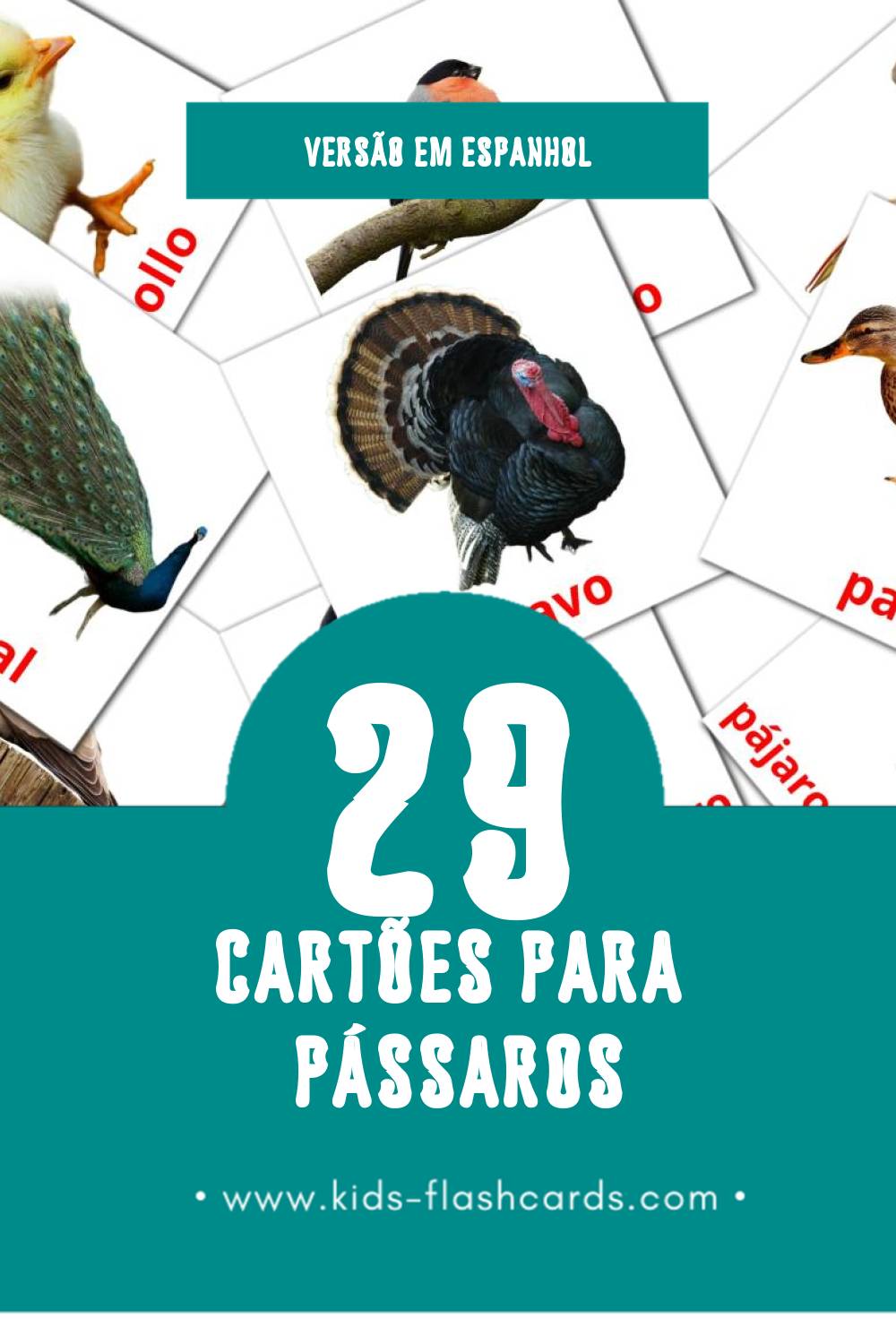 Flashcards de Aves Visuais para Toddlers (29 cartões em Espanhol)