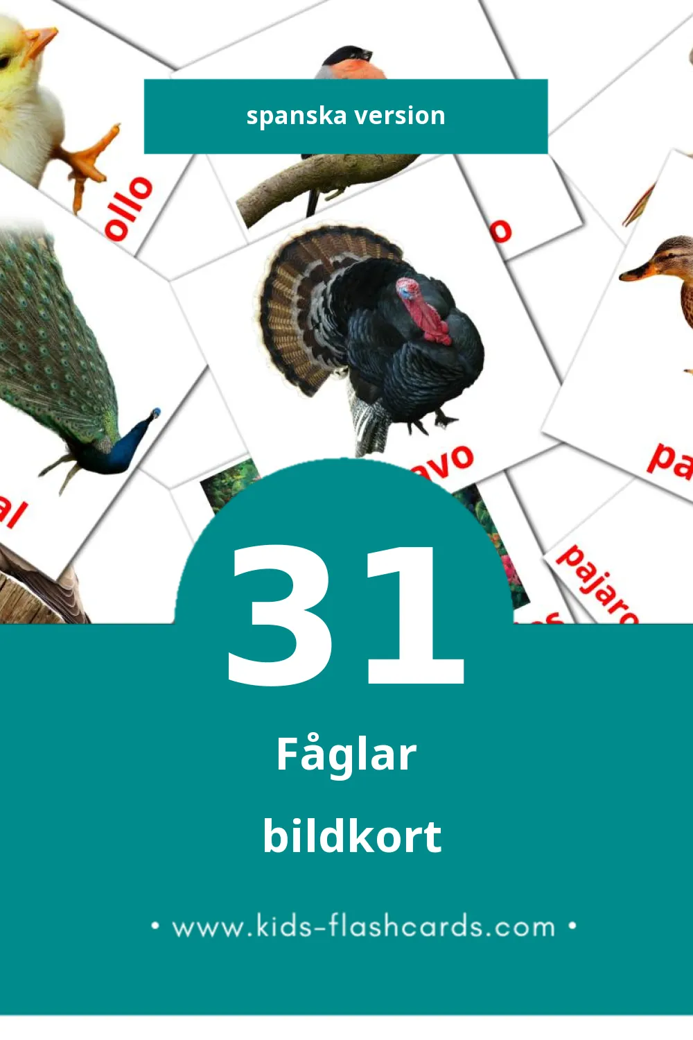 Visuella Aves för småbarn (31 bildkort för barn på Spanska)