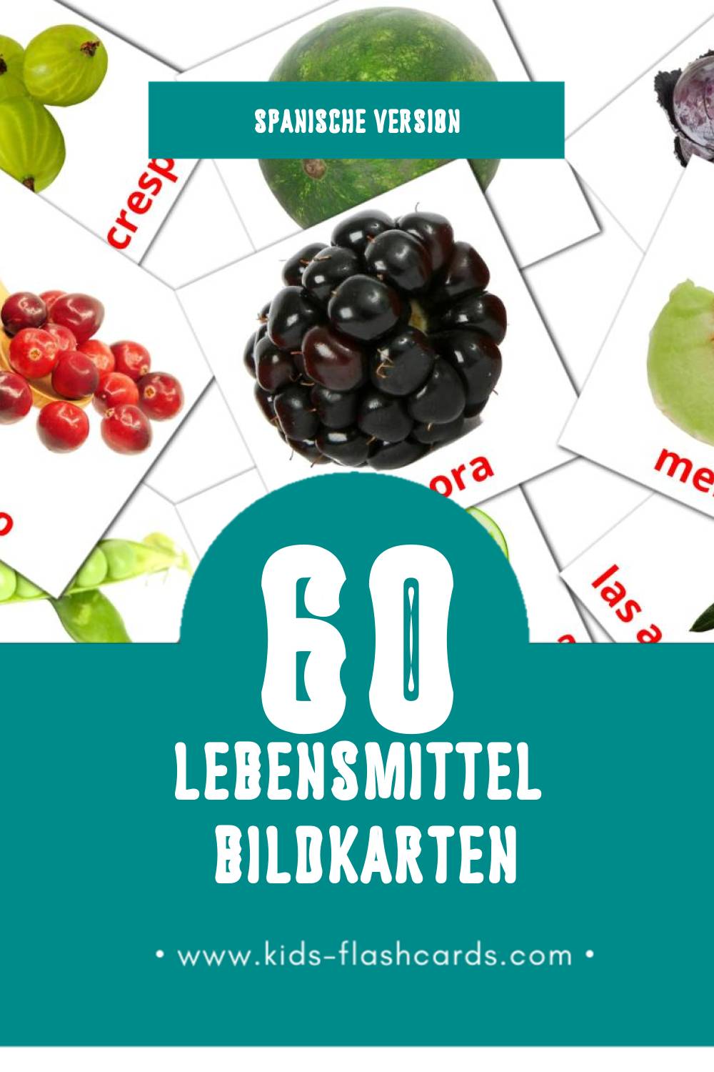 Visual Alimentos Flashcards für Kleinkinder (60 Karten in Spanisch)