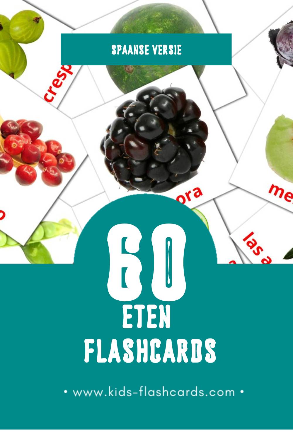 Visuele Alimentos Flashcards voor Kleuters (60 kaarten in het Spaans)