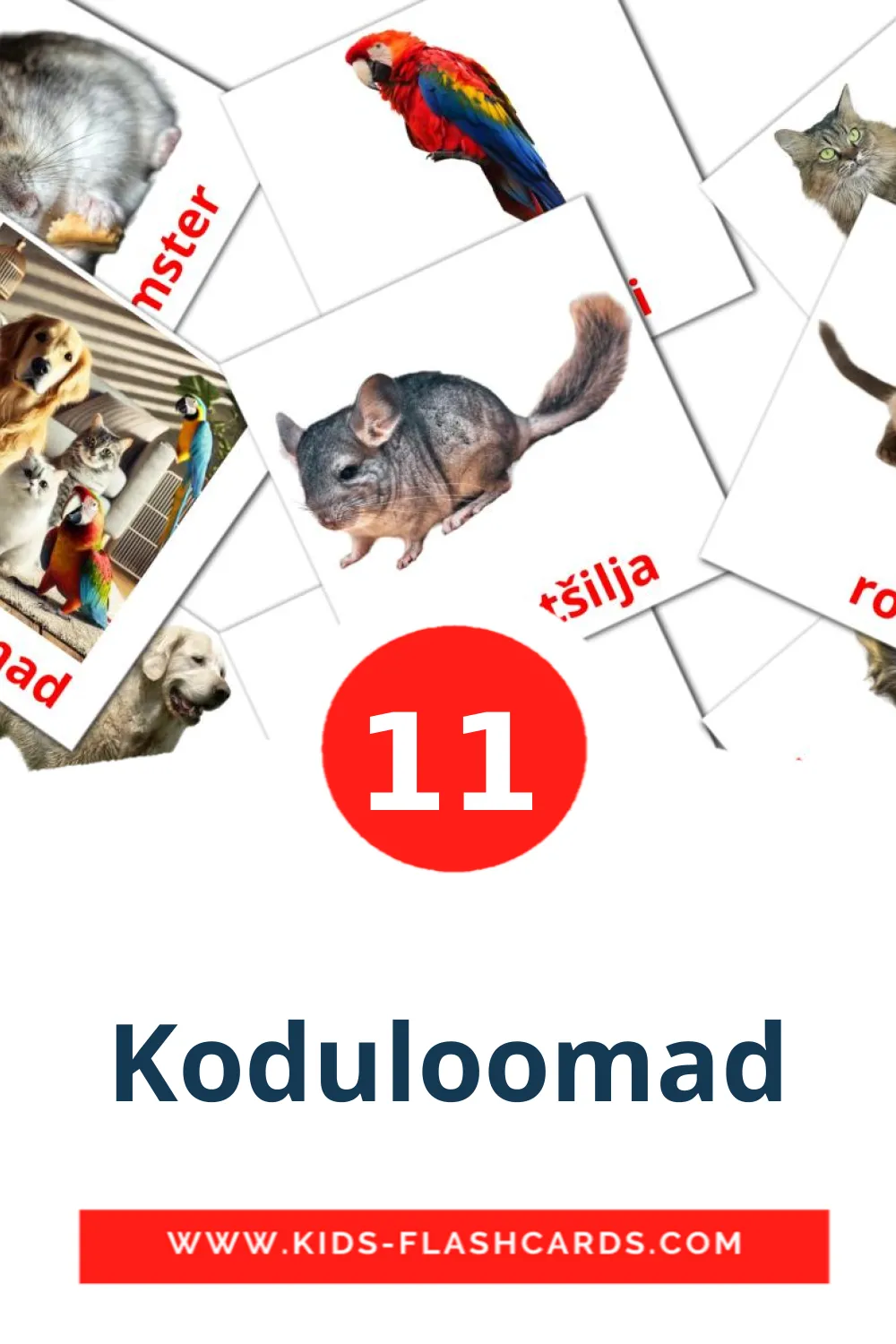 11 Koduloomad fotokaarten voor kleuters in het estlands