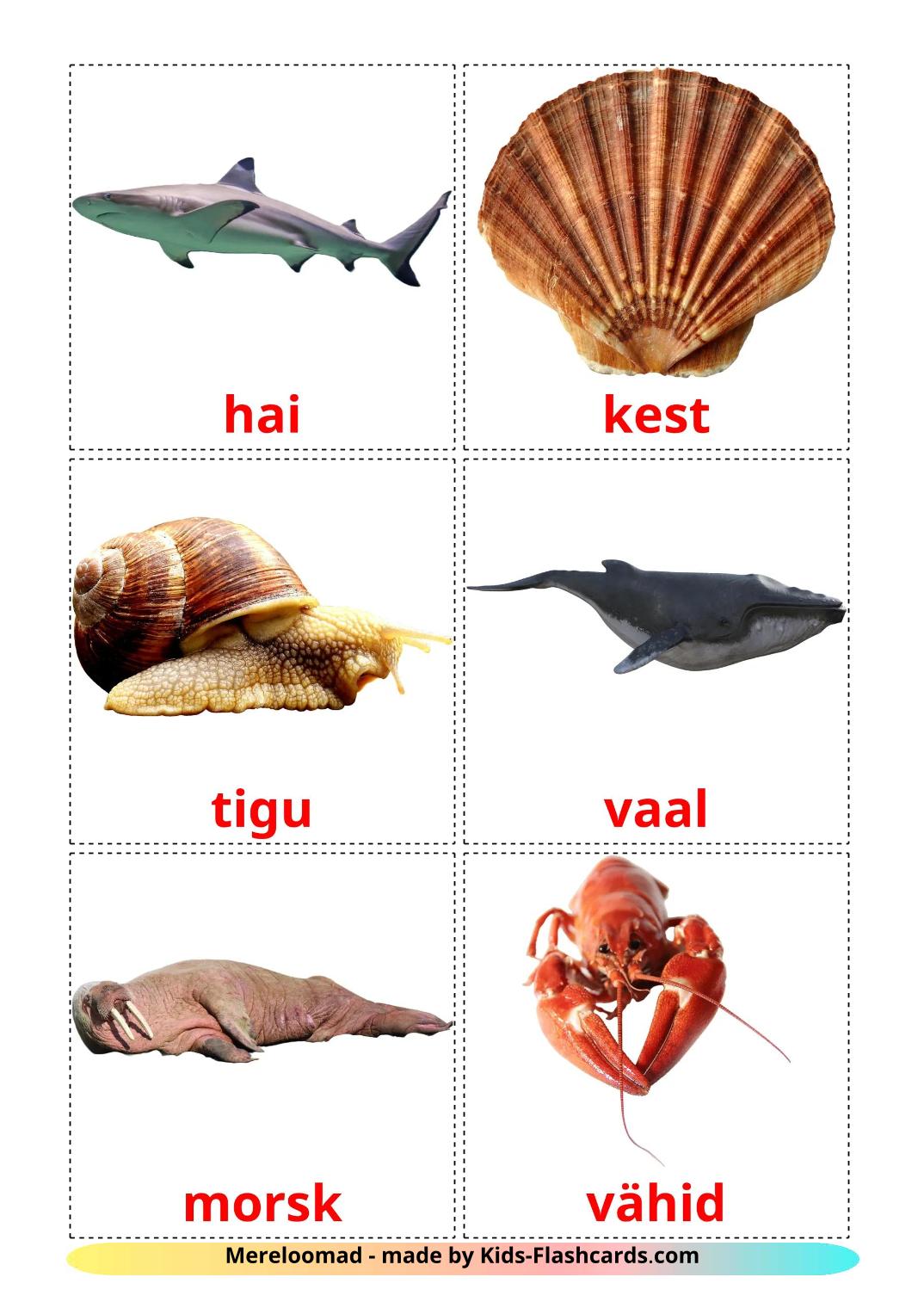 Sea animals - 30 Free Printable estonian Flashcards 