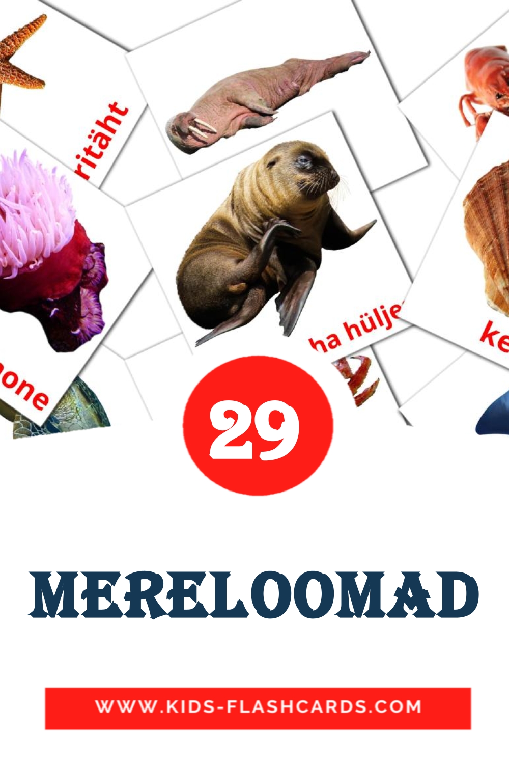 29 Mereloomad Picture Cards for Kindergarden in estonian