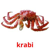 krabi card for translate