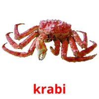 krabi picture flashcards