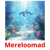 Mereloomad picture flashcards