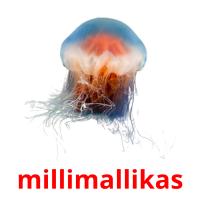 millimallikas card for translate