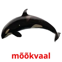 mõõkvaal picture flashcards