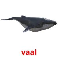 vaal picture flashcards