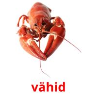 vähid picture flashcards