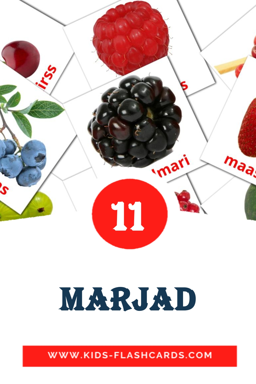11 Marjad Picture Cards for Kindergarden in estonian