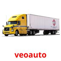 veoauto picture flashcards