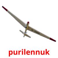 purilennuk picture flashcards