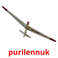 purilennuk ansichtkaarten