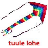 tuule lohe picture flashcards