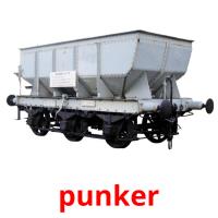 punker picture flashcards